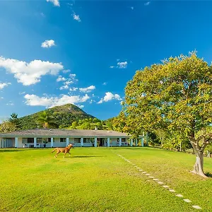 eumundi-mountain-retreat.queenslandhotels.net/